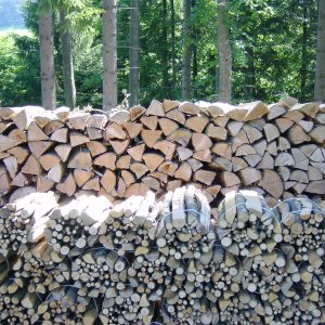 Multifunktionale Waldbewirtschaftung