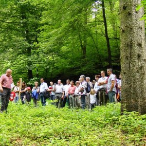 European Forest Pedagogics Congress 2022