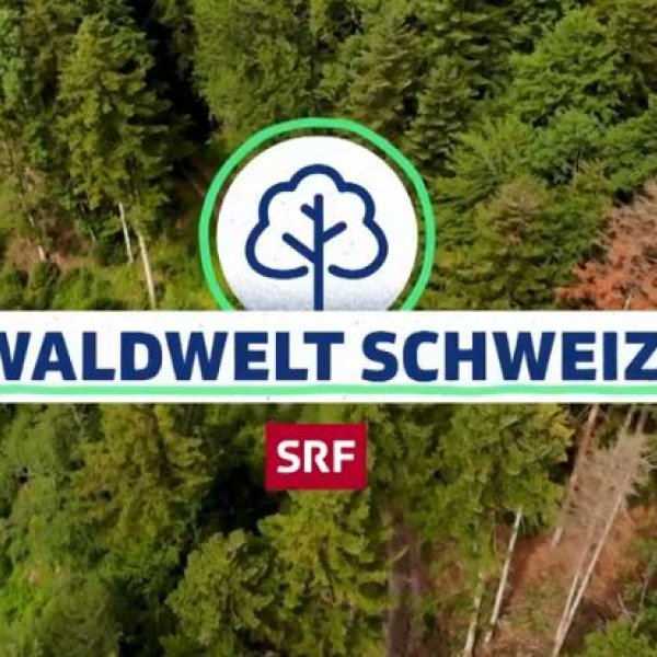 Waldwelt Schweiz